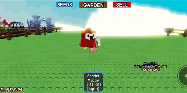 Scarlet Macaw
