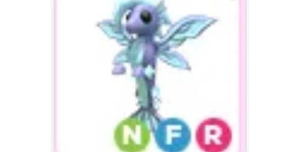 NFR merhorse