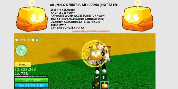 BLOX FRUIT ACCOUNT – BUDDHA FRUIT (NOT EATEN)