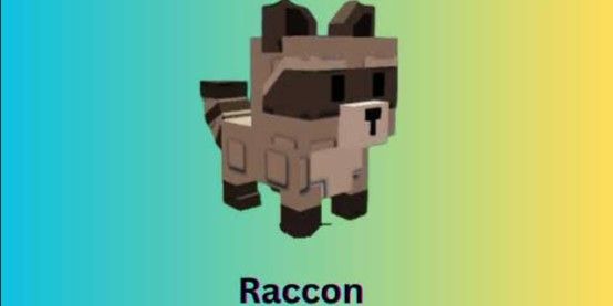 Raccoon Grow A Garden