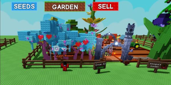 ACCOUNT 6 CANDY BLOSSOM