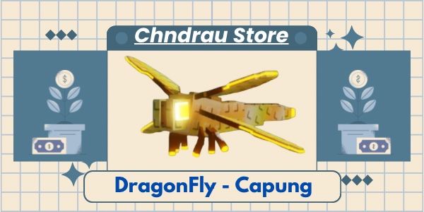 Dragonfly Capung - (7-9kg)