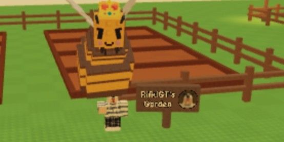 Queen Bee PETS Grow A Garden
