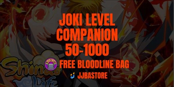 Companion Level