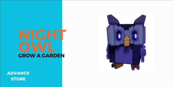 Night Owl - Pet (Random Weight)