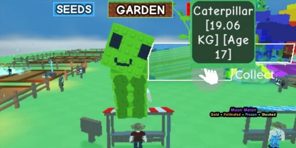 BIG PETS | BIG PETS | BIG PETS | CATERPILLAR.
