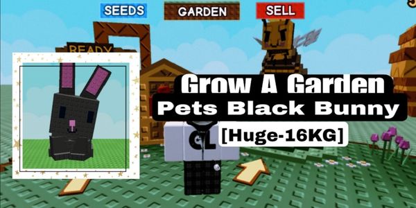 Black Bunny [16KG]-Grow A Garden