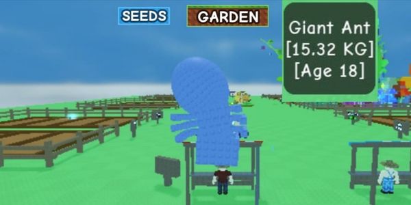 BIGS PET | BIG PET | TITAN PET | GIANT ANT.