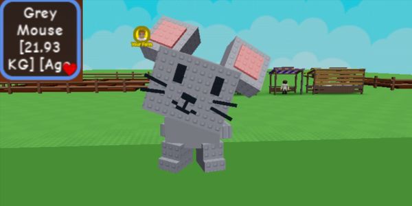BIGS PET | BIG PET | TITAN PETS | GREY MOUSE.