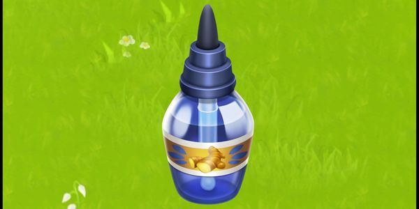 Ginger Essential Oil