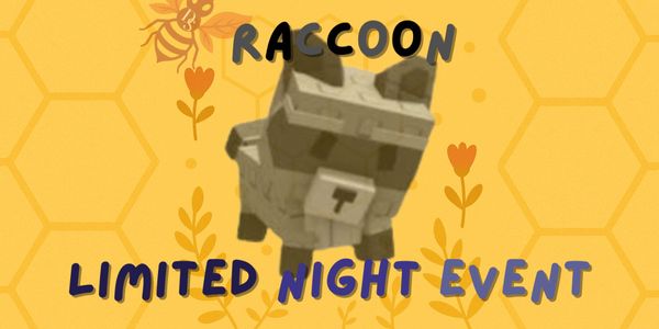 Pet Raccoon