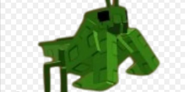 Praying mantis
