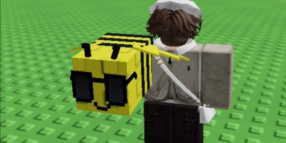 "Disco Bee + Bonus Shekels"
