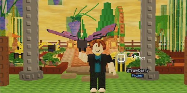 Butterfly | Grow A Garden