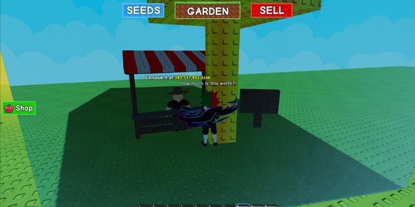 COINS 350B+ VIA GIFT PLANT/SHECKLESS