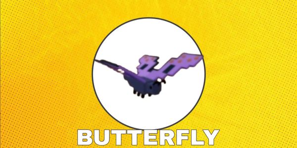 Butterfly