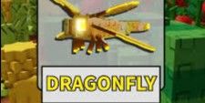 dragonfly