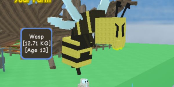BIG PET | HUGE PET | PET TITAN | Wasp.