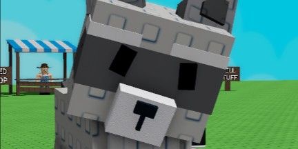 Raccoon Pet (Divine)