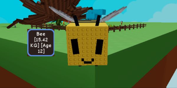 BIG PET | HUGE PET | PET TITAN | Bee.