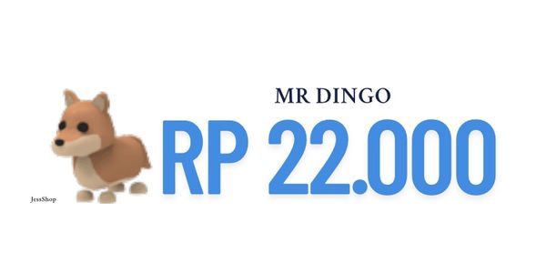 MR DINGO