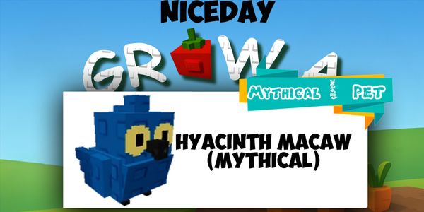 Hyacinth Macaw