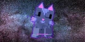 Moon cat