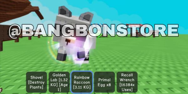 RAINBOW RACCOON PET