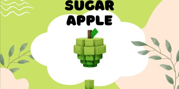 Sugar Apple Seed