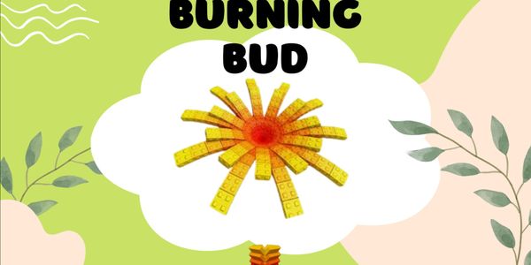 Burning Bud Seed