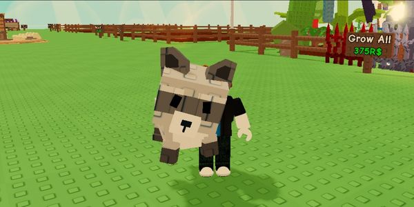 Raccoon |Grow a garden