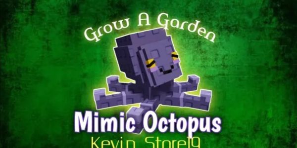 Cheap Mimic Octopus
