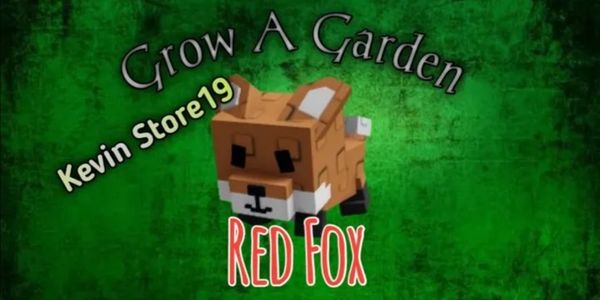 Red Fox Cheap and Cheerful