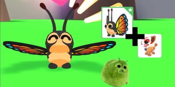 Mirai Moth | Adopt Me (+BONUS)