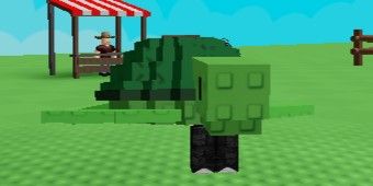 Sea Turtle