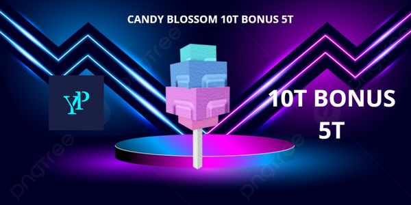 CANDY BLOSSOM 10T