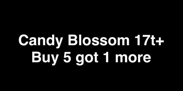 Candy Blossom 232b coins