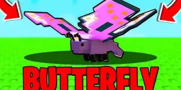 Butterfly