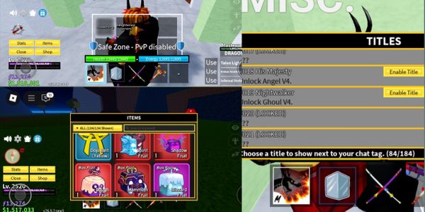 Akun Blox fruit GG Ber Fruit+V4