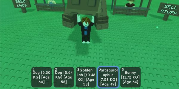 PET RANDOM AGE 60+
