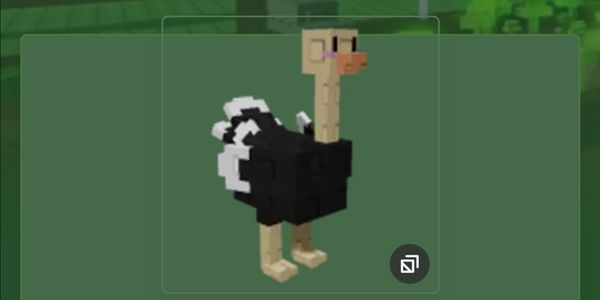 Ostrich