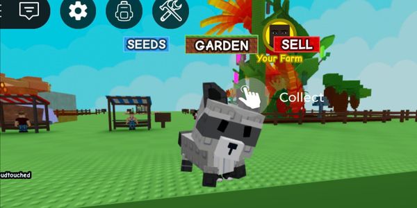 Raccoon