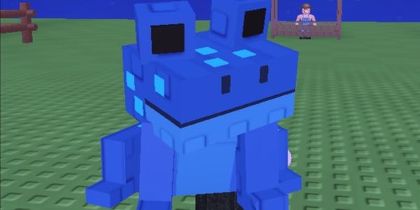 Echo Frog