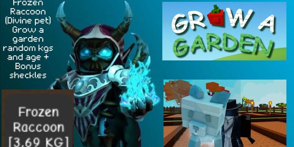 Frozen Raccoon (Divine Pet) Grow A Garden RBL