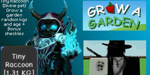 Tiny Raccoon (Divine Pet) Grow A Garden RBL