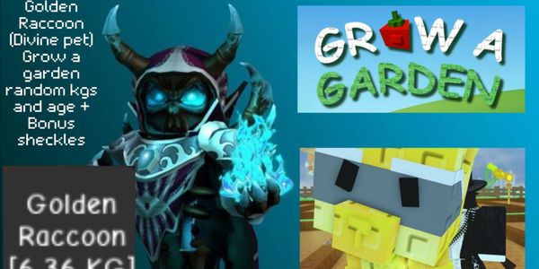 Golden Raccoon (Divine Pet) Grow A Garden RBL