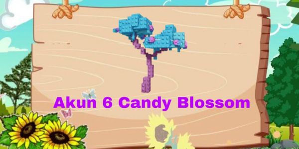 AKUN 6 CANDY BLOSSOM