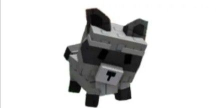 Raccoon