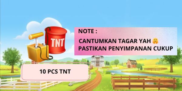 10 pcs TNT