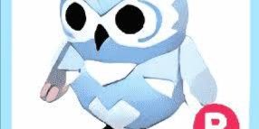 R Snow Owl